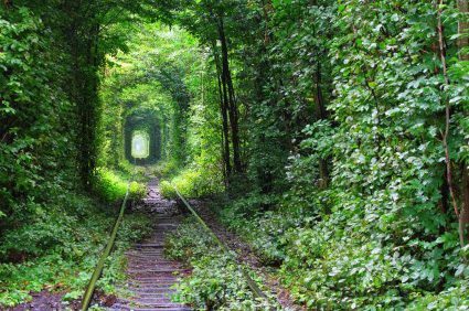 Tunel snů