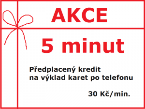 Kredit nákupní kartářka 5 minut